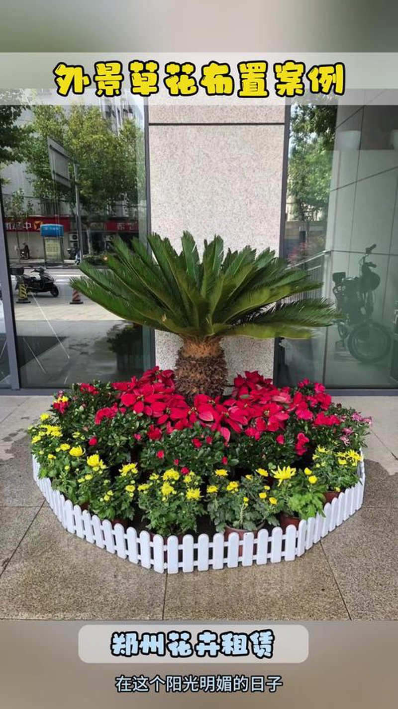 花木租摆