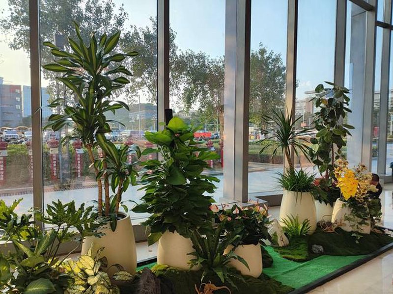 绿色屋顶：城市绿洲的设计艺术