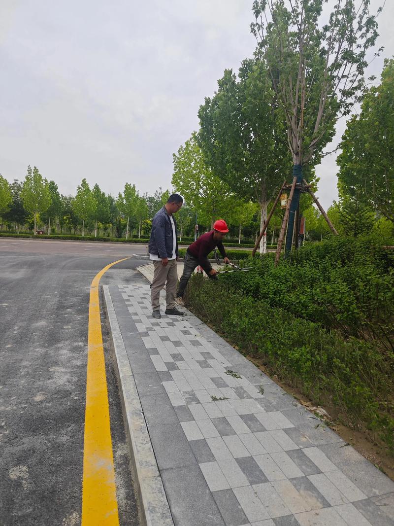 东莞园林设计：创新与自然的完美融合